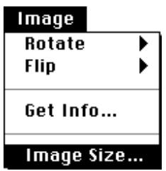 NIKON CONTROL MACINTOSH - Image Size Dialog Box - 1