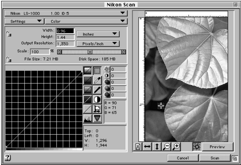 NIKON CONTROL MACINTOSH - Step 2 - 3