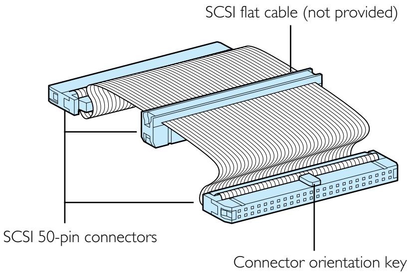 NIKON COOLSCAN II - Setting Up a SCSI Chain with the Scanner - 2