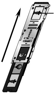 NIKON COOLSCAN II - Step 5 - 1