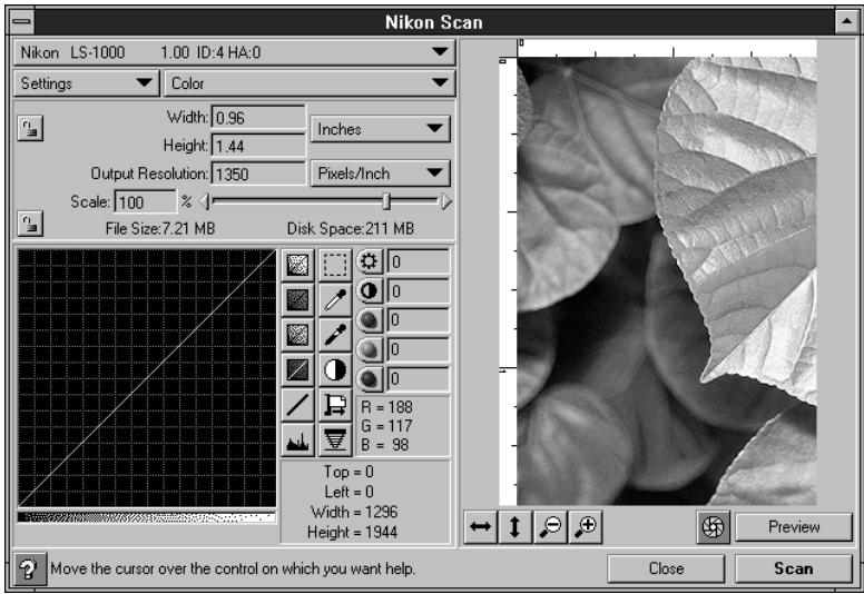 NIKON FAST TRACK - Nikon SCAN Window - 1