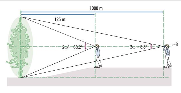 NIKON LASER 550AS RANGEFINDER - Valeurs du champ angulaire apparent - 1