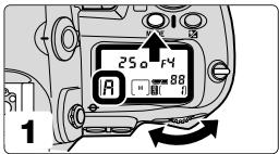 NIKON SB-30 - Taking flash pictures in the Non-TTL auto flash mode - 1