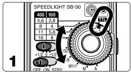 NIKON SB-30 - Geblitzte Nahaufnahmen aus einer Entfernung von 0,3m bis 1m mit der eingebauten Weitwinkel-Streuschibeige - 1