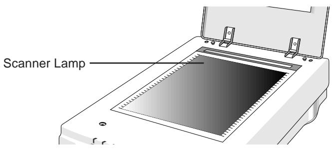 NIKON SCANTOUCH 110 - If the scanner lamp flickers, is dim, or fails to come on - 1