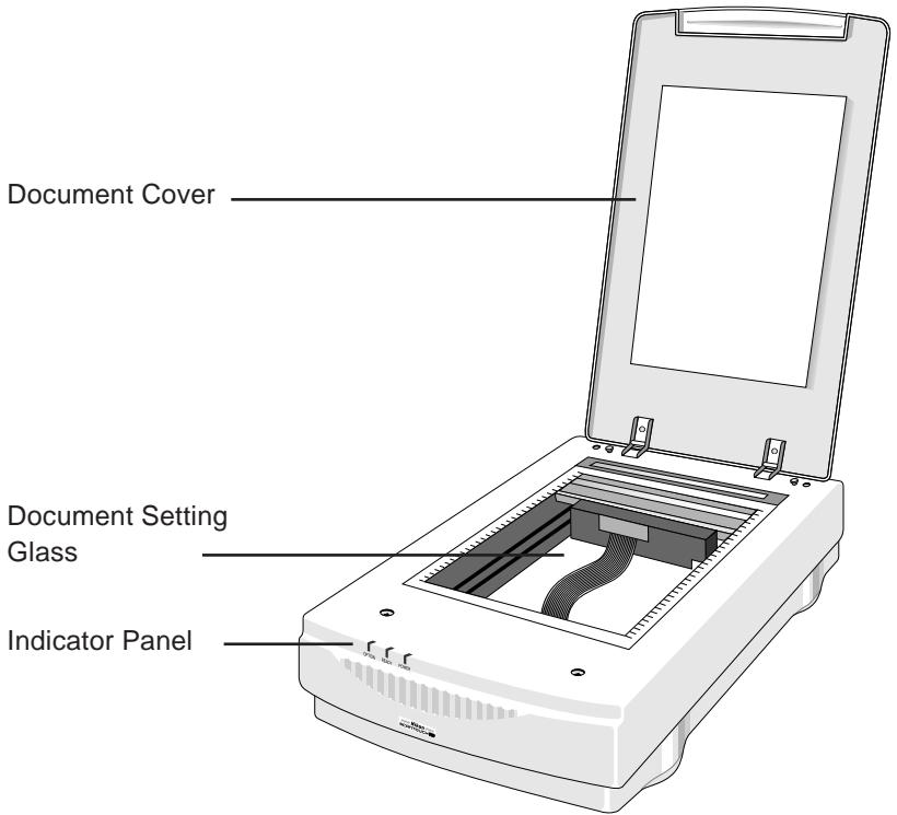 NIKON SCANTOUCH 210 - A Closer Look - 1