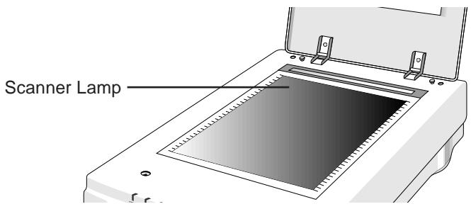 NIKON SCANTOUCH 210 - If the scanner lamp flickers, is dim, or fails to come on - 1