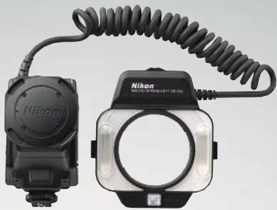 NIKON SPEEDLIGHT SB-29S - Schönes in allen Details sichtbar - 1