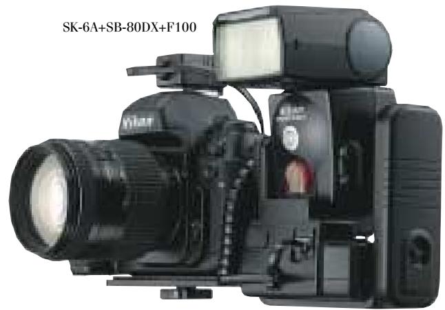 NIKON SPEEDLIGHT SB-29S - Blitz- zubehör - 2