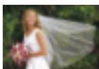 NIKON SPEEDLIGHT SB-800 - Gordon Nash — Wedding photographer (U.S.A.) - 3