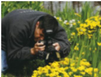 NIKON SPEEDLIGHT SB-800 - Wil Meinderts, Jan Vermeer and Danny Ellinger — Nature photographers at Foto Natura team (The Netherlands) - 2