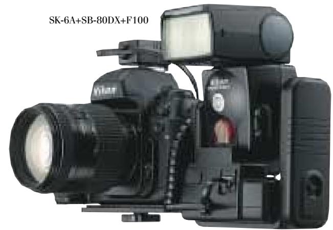 NIKON SPEEDLIGHT SB-80DX - Blitz-zubehör - 1