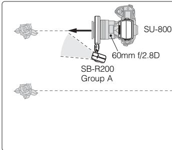 NIKON SU-800 - Dual-light close-up flash operation (one flash unit attached to the front of the lens + one remote unit bounced off the wall) - 2