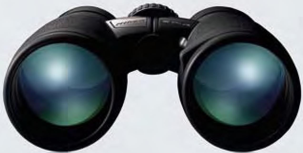 NIKON TRAVELITE VI 8X25 CF - 1