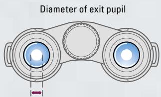 NIKON TRAVELITE VI 8X25 CF - Exit pupil - 1
