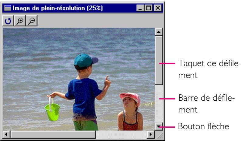 NIKON VIEW 2 - Déplacement dans la fenêtre d'image et redimensionnement - 1