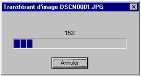 NIKON VIEW 2 - Ouverture d'images dans des fenêtres d'images - 2