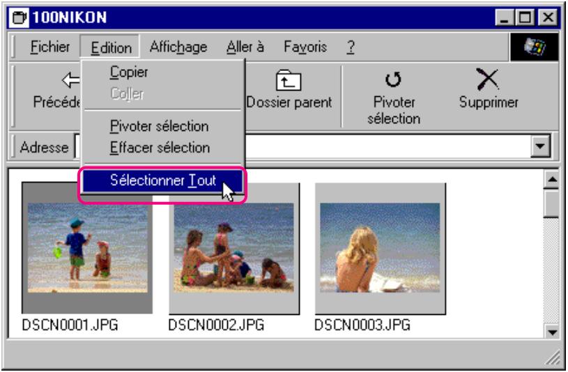 NIKON VIEW 2 - Sélection de vues miniatures - 2