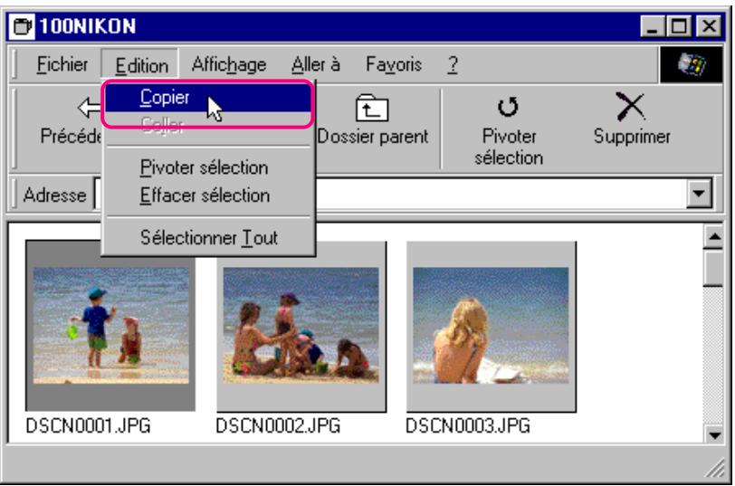 NIKON VIEW 2 - Insertion d'images par copier-coller - 1