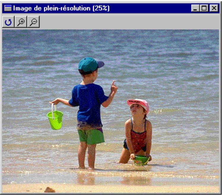NIKON VIEW 2 - Ouverture d'images dans des fenêtres d'images - 3