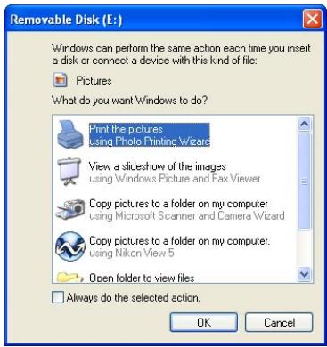 NIKON VIEW 5 - Starting NikonView underWindows XP - 1