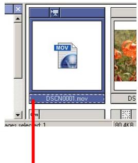 NIKON VIEW 5 - Viewing movies - 2