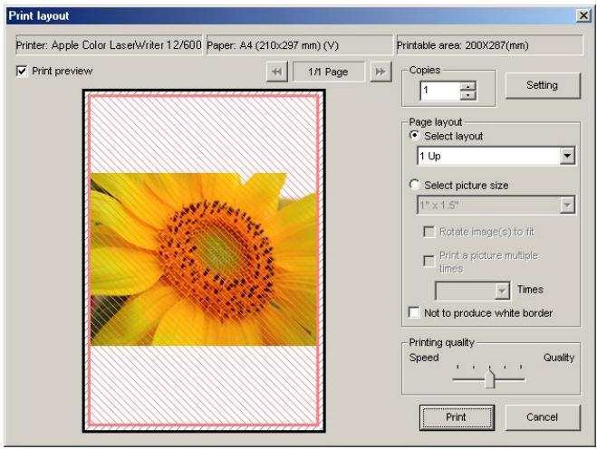 NIKON VIEW 5 - Printing images - 1
