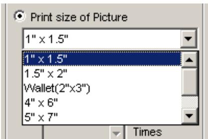 NIKON VIEW 5 - Select picture size - 1