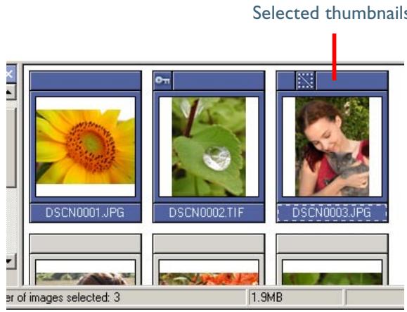 NIKON VIEW 5 - Selecting thumbnails - 1