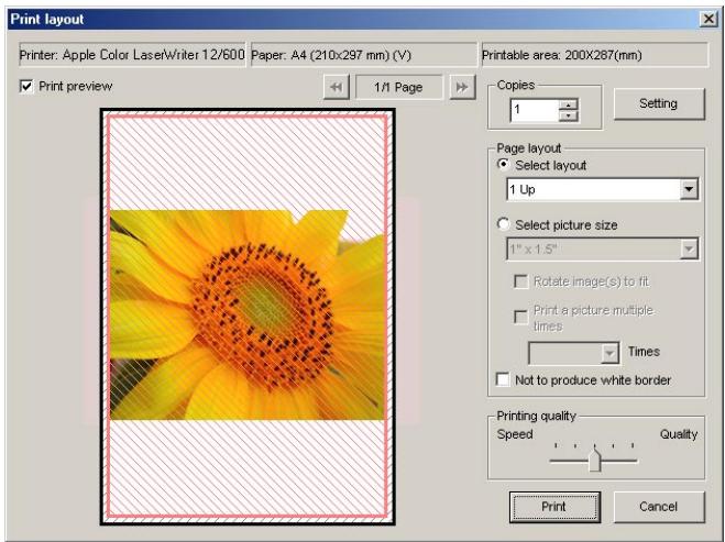 NIKON VIEW 5 - Printing Images from Nikon Browser - 3