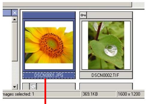 NIKON VIEW 5 - Viewing still images - 2