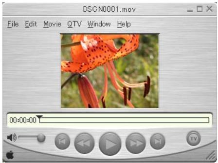 NIKON VIEW 5 - Viewing movies - 4
