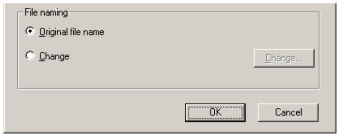 NIKON VIEW 5 - Specifying the file name - 1
