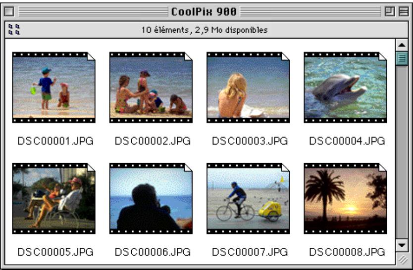 NIKON VIEW 900 - Lecture des images - 2