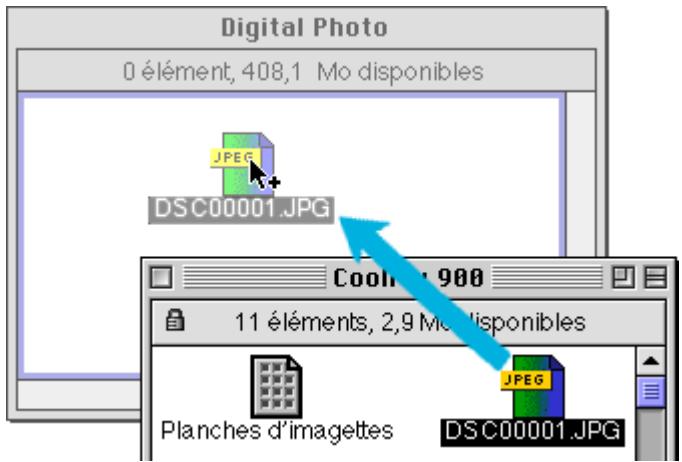 NIKON VIEW 900 - Étape 5—copie d'images sélectionnées sur le disque dur - 1