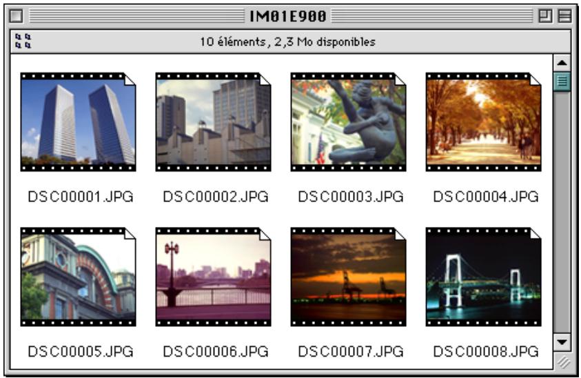 NIKON VIEW 900 - Lecture des cartes de mémoire compactflash - 2