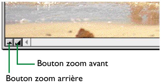 NIKON VIEW 900 - Agrandissement et réduction d'image - 1