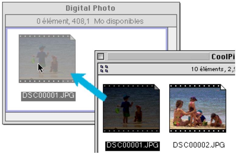 NIKON VIEW 900 - Copie d'images sur le disque dur - 1