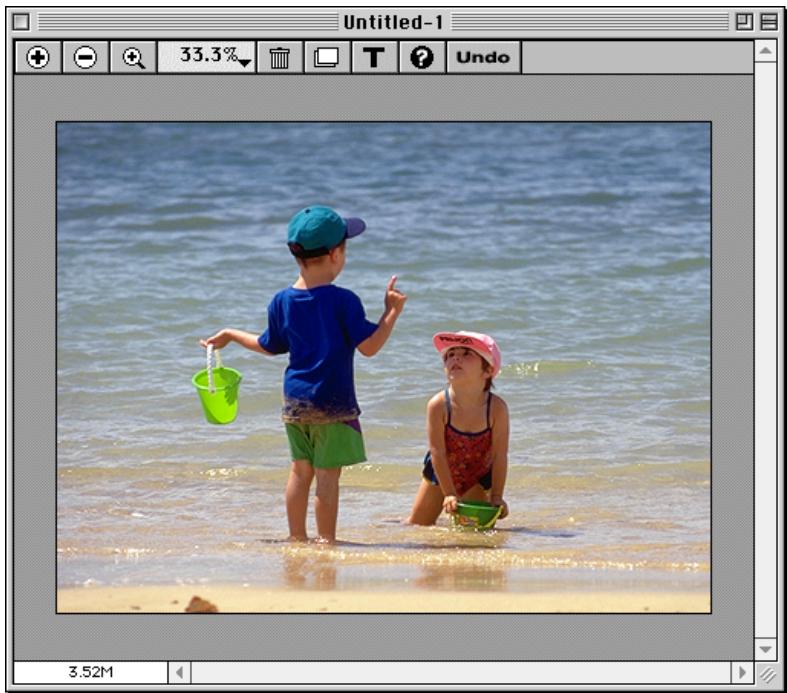 NIKON VIEW 900 - Étape 6 — Ouverture des images avec une autre application - 2