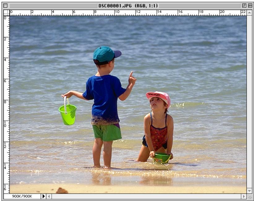 NIKON VIEW 900 - Ouverture d'images sélectionnées par glisser-déplacer - 2