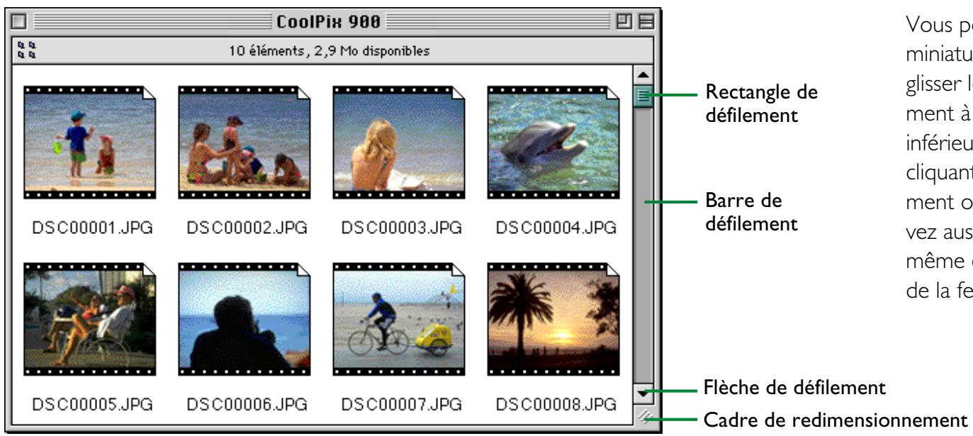 NIKON VIEW 900 - Étape 7 — affichage de vues miniatures dans nikon view browser - 2