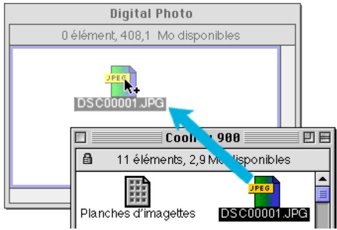 NIKON VIEW 900 - Copie d'images sur le disque dur - 1