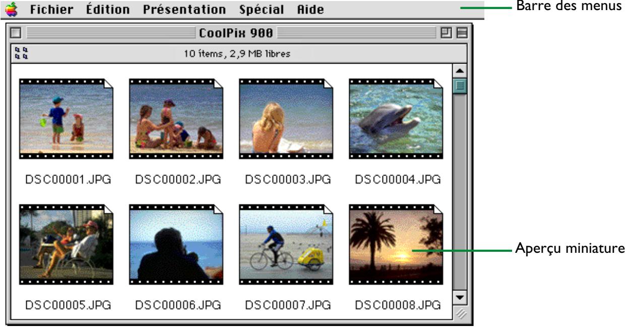 NIKON VIEW 900 - La fenêtre de lecture - 1