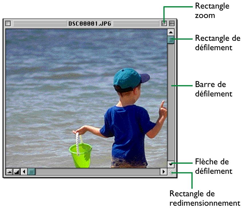 NIKON VIEW 900 - Déplacement dans la fenêtre d'image et redimensionnement - 1