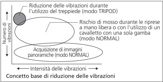 NIKON AF-S NIKKOR 500MM F-4G ED VR - Riduzione Vibrazioni* (VR II) (p. 155) - 1