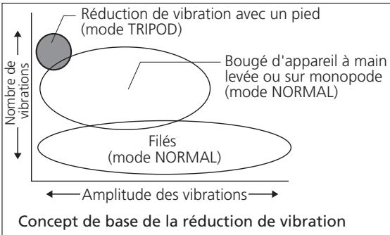 NIKON AF-S NIKKOR 500MM F-4G ED VR - Réduction de vibration (VR II) (p. 65) - 1