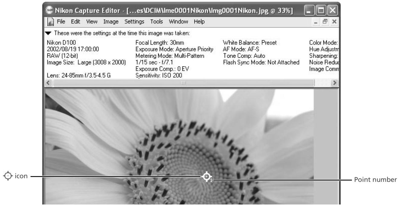 NIKON CAPTURE 3.5 - Selecting Watch Points - 2