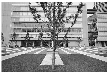 NIKON PC-E NIKKOR 24MM F-3.5D ED - 五珍字典 - 1