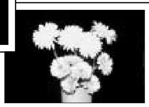 NIKON SB-50DX - Flash output level compensation (p. 35) - 4