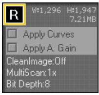 NIKON SCAN 2.5 - "Apply Curves" - 1